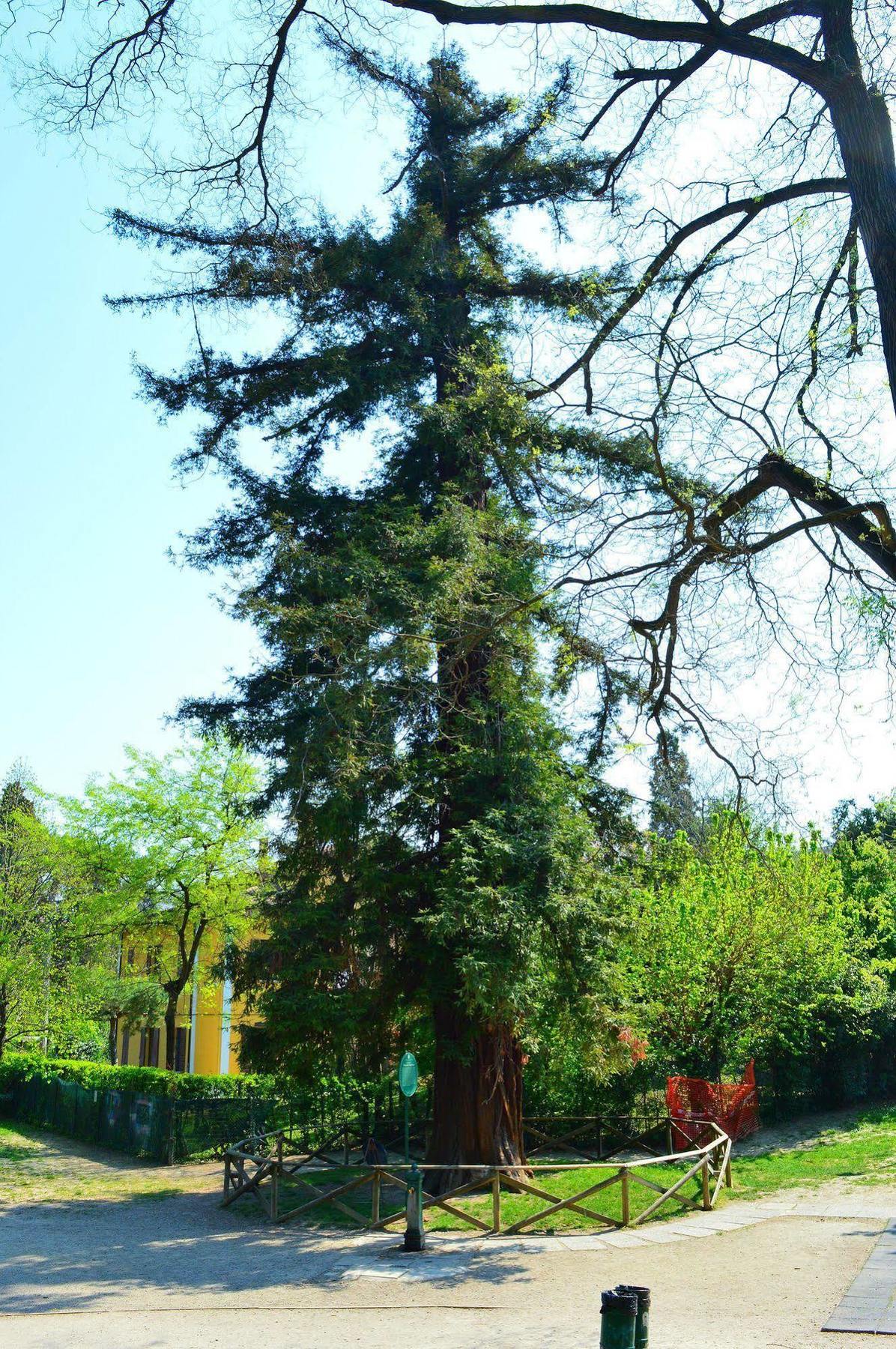 Il Giardino Nel Parco R&B Hotel โบโลญญา ภายนอก รูปภาพ